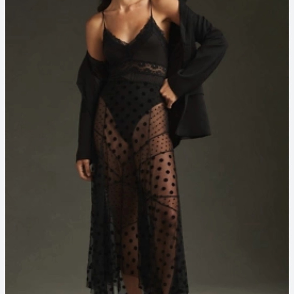 ISO Anthropologie Mixed Dot Sheer Slip Skirt